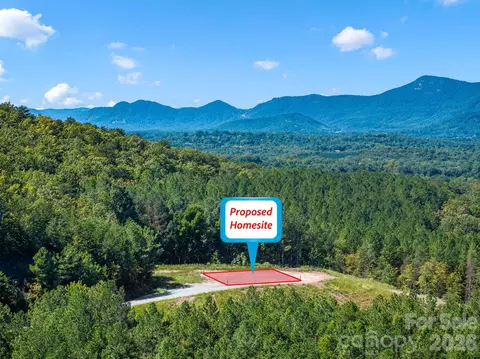 Williams Loop, Columbus, NC 28722 photo 2