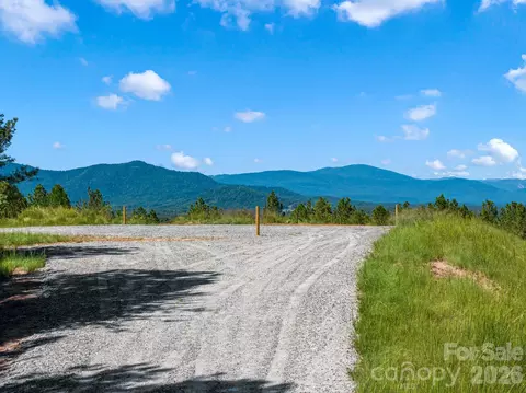 Williams Loop, Columbus, NC 28722 photo 8