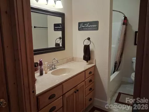 Bath - 101 Trinity Dr, Clyde, NC 28721 photo 2 of 3