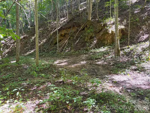 9999 Spillcorn Rd, Marshall, NC 28753 photo 8
