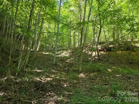 9999 Spillcorn Rd, Marshall, NC 28753 photo 14