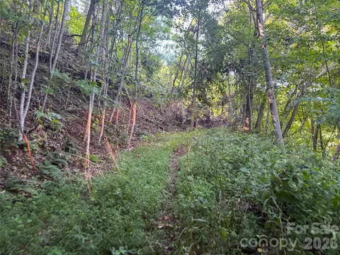 9999 Spillcorn Rd, Marshall, NC 28753 photo 21