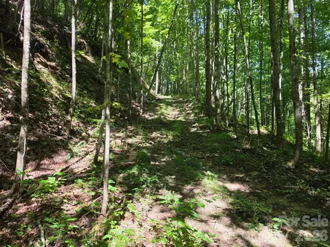 9999 Spillcorn Rd, Marshall, NC 28753 photo 11