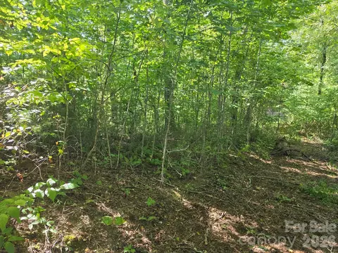 9999 Spillcorn Rd, Marshall, NC 28753 photo 7