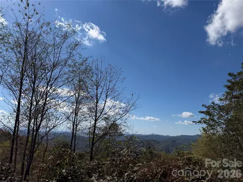 2 Ridge Top Loop, Mars Hill, NC 28754 photo 5