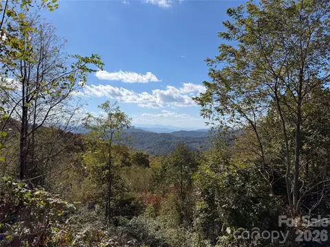 2 Ridge Top Loop, Mars Hill, NC 28754 photo 6