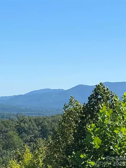 Ridgecrest 51 Drive #51, Lake Lure, NC 28746