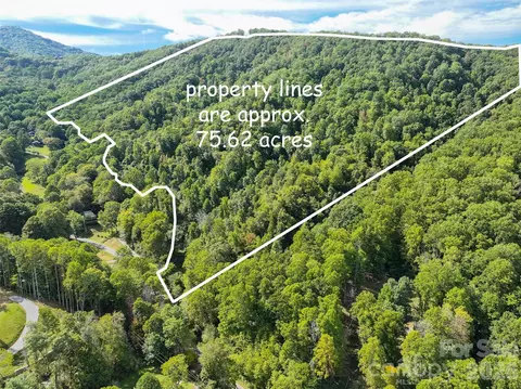 000 Mauney Cove Rd, Waynesville, NC 28786
