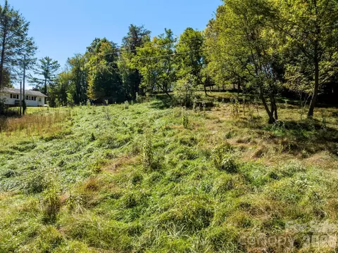 00 River Ln, Canton, NC 28716 photo 18