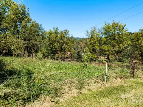 00 River Ln, Canton, NC 28716 photo 20