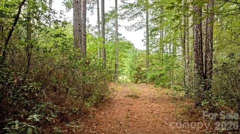 0 River Park Ln, Mill Spring, NC 28756 photo 17