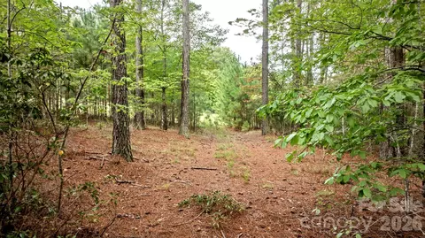 0 River Park Ln, Mill Spring, NC 28756 photo 16