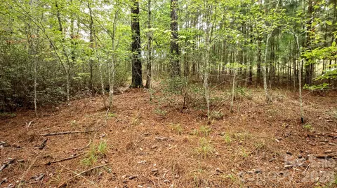 0 River Park Ln, Mill Spring, NC 28756 photo 14