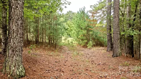 0 River Park Ln, Mill Spring, NC 28756 photo 15