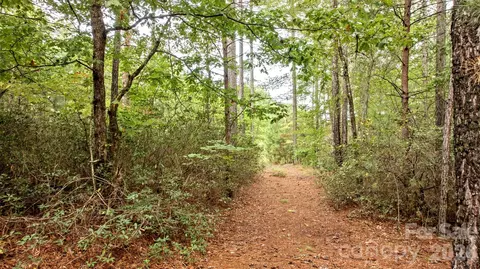 0 River Park Ln, Mill Spring, NC 28756 photo 18