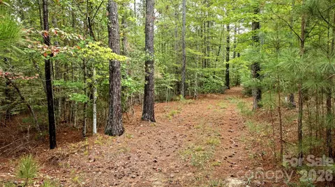 0 River Park Ln, Mill Spring, NC 28756 photo 12