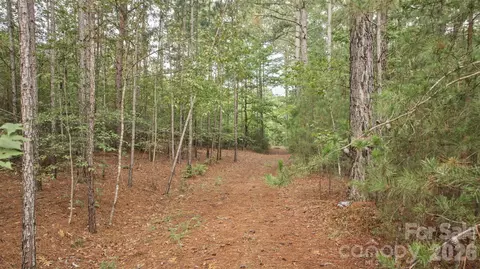 0 River Park Ln, Mill Spring, NC 28756 photo 20
