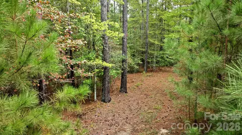 0 River Park Ln, Mill Spring, NC 28756 photo 11