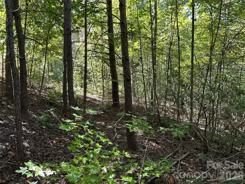 168 Robinwood Trl, Bostic, NC 28018 photo 2