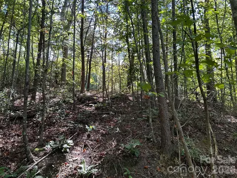 168 Robinwood Trl, Bostic, NC 28018 photo 8