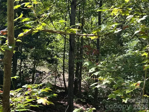 168 Robinwood Trl, Bostic, NC 28018 photo 5