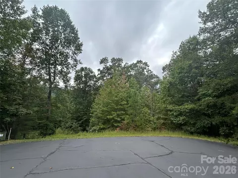 168 Robinwood Trl, Bostic, NC 28018 photo 16