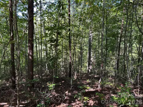 168 Robinwood Trl, Bostic, NC 28018 photo 7