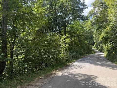 35 Chandra Ln, Clyde, NC 28721 photo 6