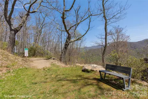 35 Chandra Ln, Clyde, NC 28721 photo 18