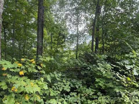 35 Chandra Ln, Clyde, NC 28721 photo 8