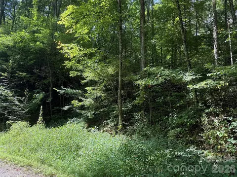 35 Chandra Ln, Clyde, NC 28721 photo 3