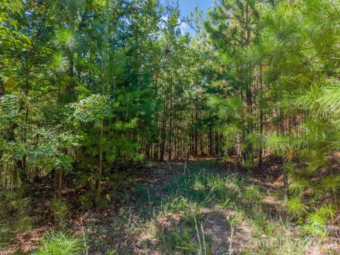 0 Westridge Lot 159 Dr #LOT 159, Bostic, NC 28018 photo 4