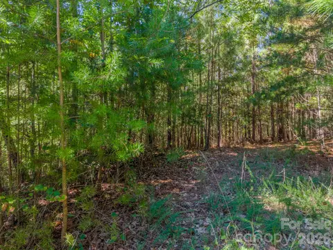 0 Westridge Lot 159 Dr #LOT 159, Bostic, NC 28018 photo 6