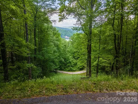 Von Trapp 10 Lane #10, Tuckasegee, NC 28783