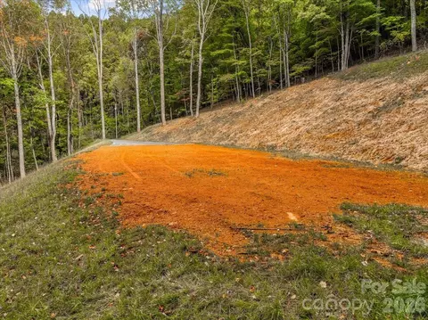 Poplar Trail, Spruce Pine, NC 28777 photo 14