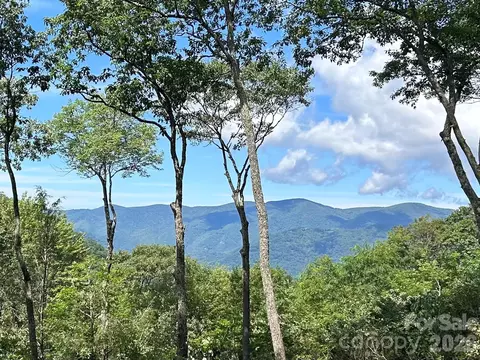 270 Olli Trl, Maggie Valley, NC 28751