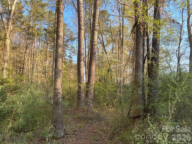161 Little River 1 Trl #1, Indian Land, SC 29707