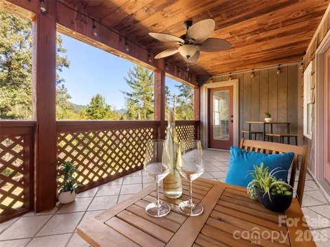 45 Bonnie Brae Dr, Weaverville, NC 28787