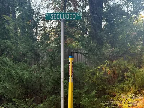 Secluded Circle, Marion, NC 28752 photo 47