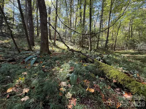 Secluded Circle, Marion, NC 28752 photo 30
