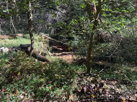 Secluded Circle, Marion, NC 28752 photo 24