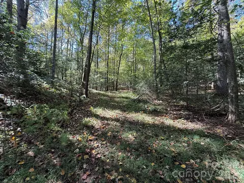 Secluded Circle, Marion, NC 28752 photo 31