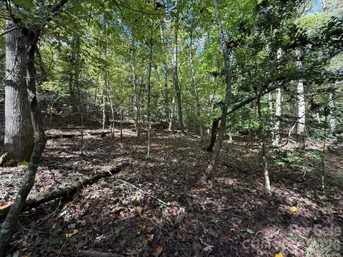 Secluded Circle, Marion, NC 28752 photo 11