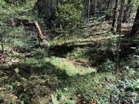 Secluded Circle, Marion, NC 28752 photo 22