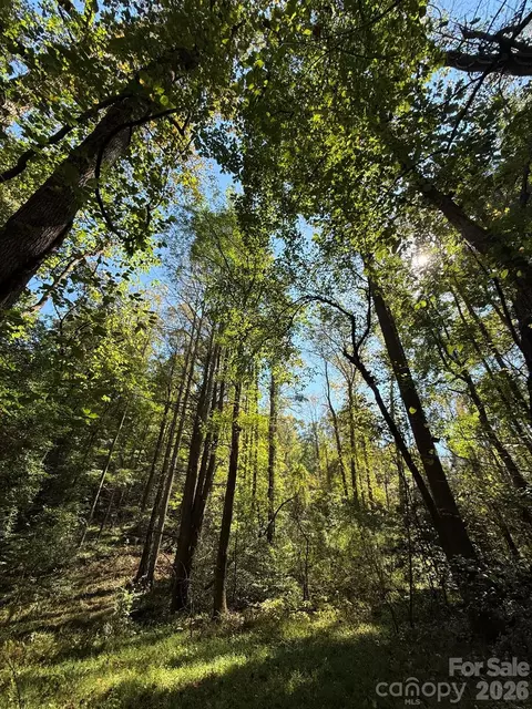 Secluded Circle, Marion, NC 28752 photo 13
