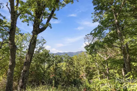 99999 Harrison Hill Rd, Swannanoa, NC 28778