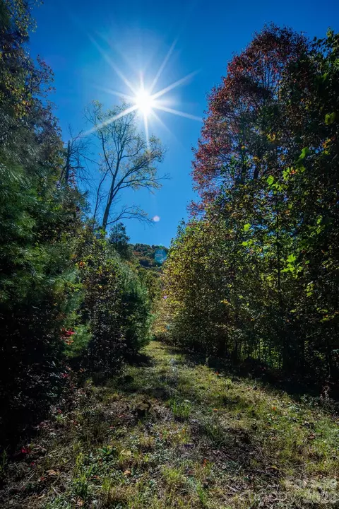 Big Laurel Road, Marshall, NC 28753 photo 13