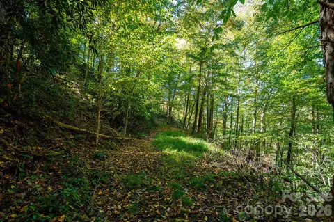 Big Laurel Road, Marshall, NC 28753 photo 21
