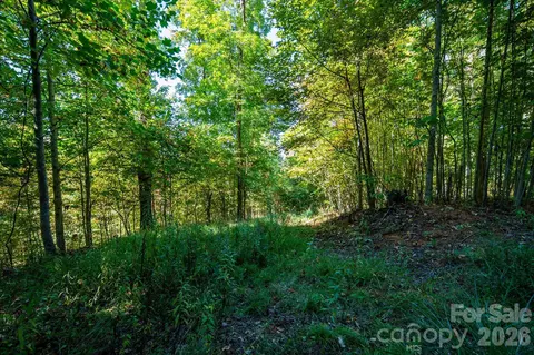 Big Laurel Road, Marshall, NC 28753 photo 8