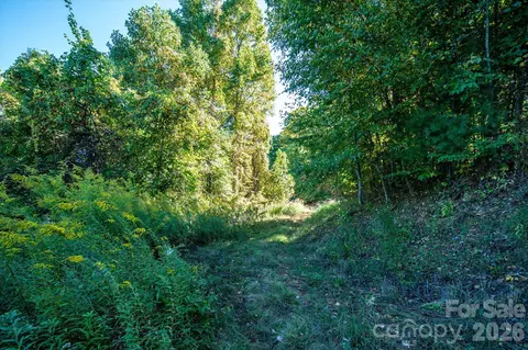 Big Laurel Road, Marshall, NC 28753 photo 7